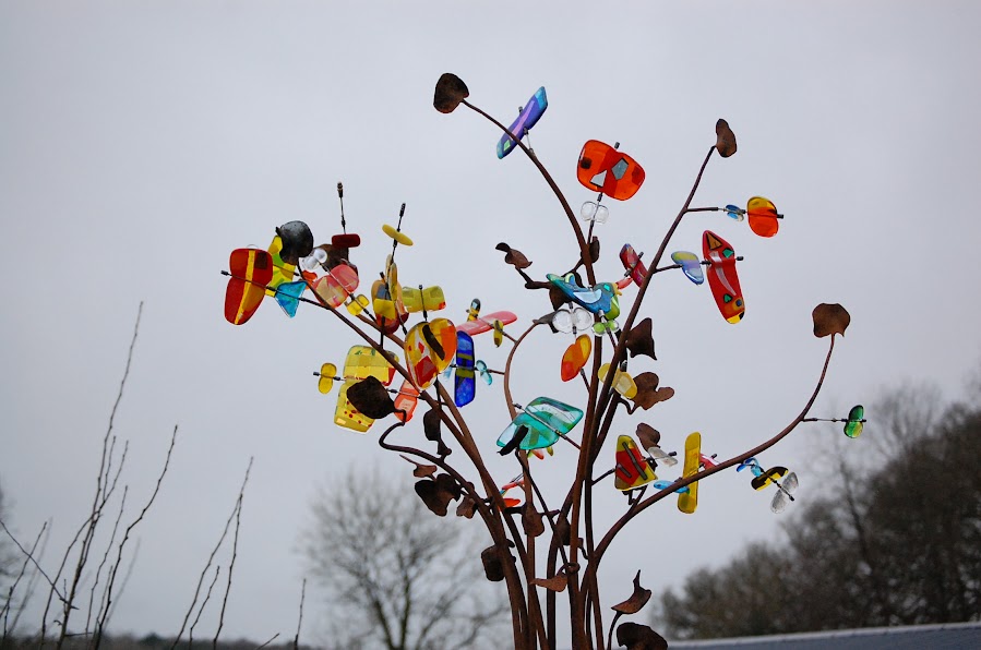 DSC_0430 1 to one counselling goats